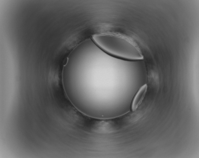 X0000113530566200909250908