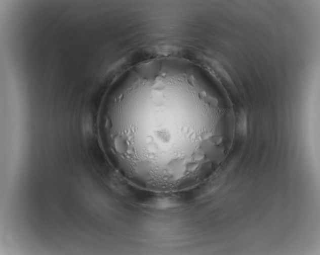 X0000113530569200909250908