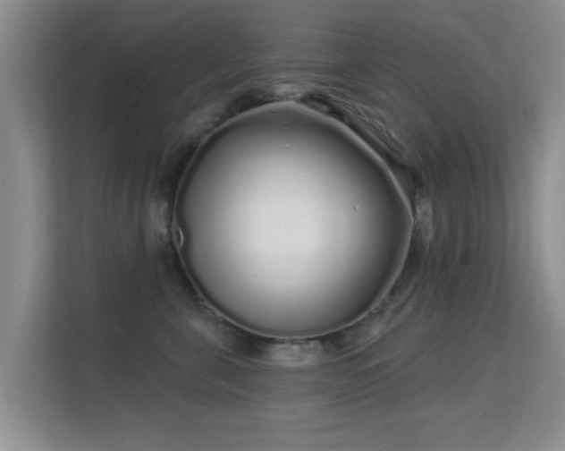 X0000113530571200909250908