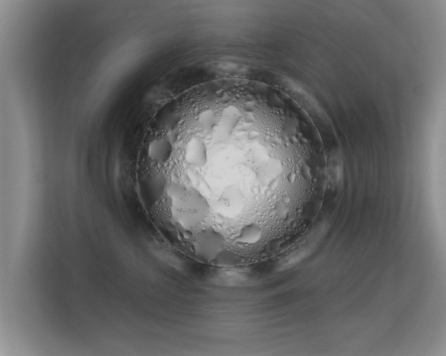 X0000113530573200909250908