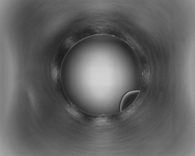 X0000113530574200909250908