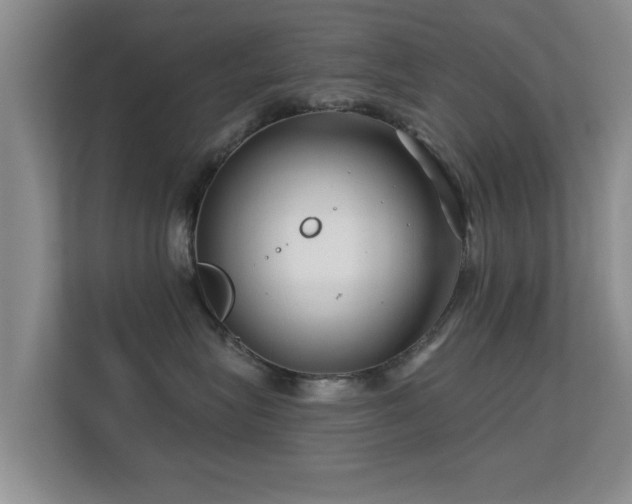 X0000113530575200909250908