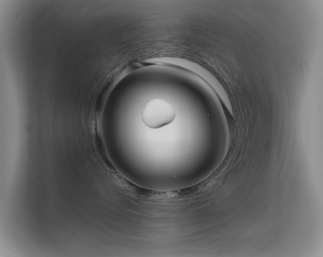 X0000113530576200909250908