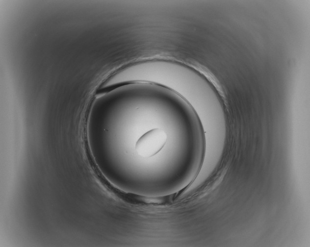 X0000113530577200909250908