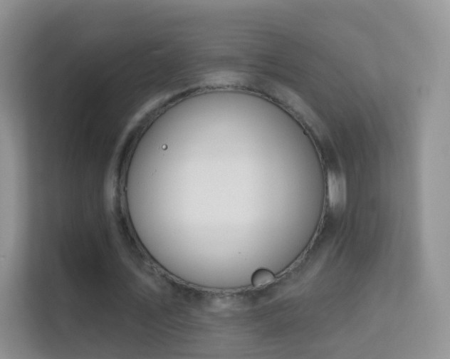 X0000113530579200909250907