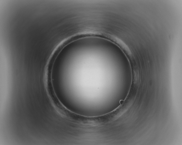 X0000113530580200909250907