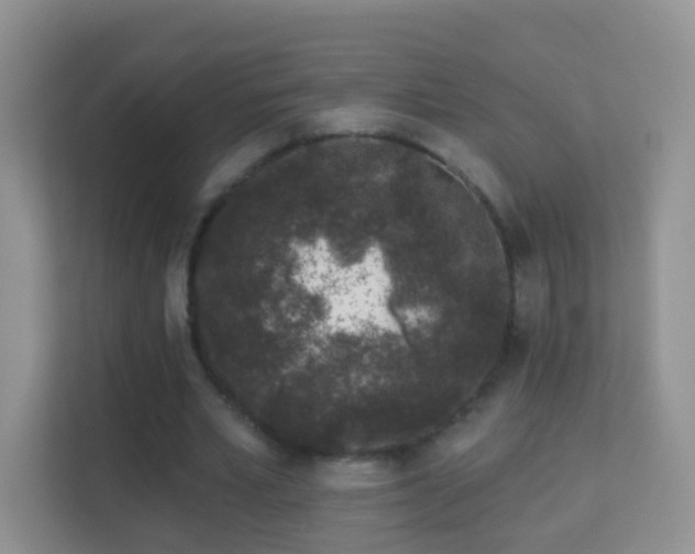 X0000113530581200909250907