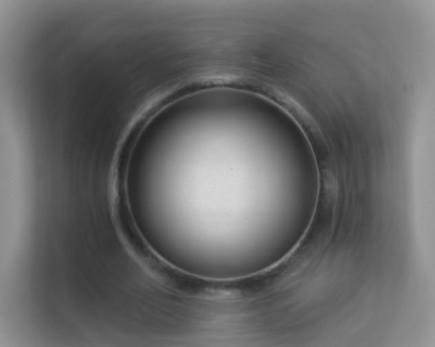 X0000113530582200909250907