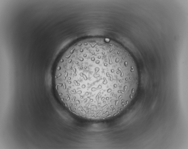 X0000113530584200909250907