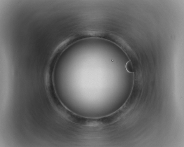 X0000113530587200909250907