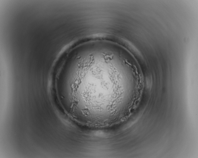 X0000113530588200909250907