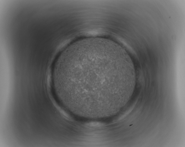 X0000113530590200909250907