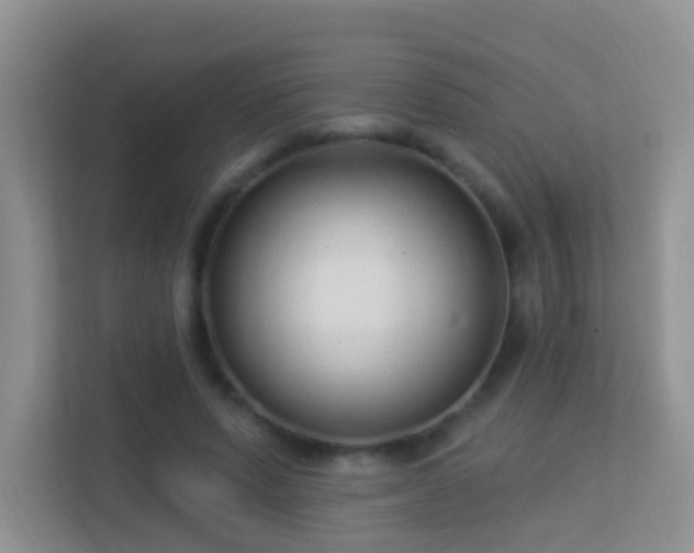 X0000113530591200909250907