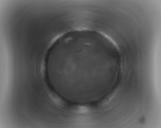 X0000113530592200909250907