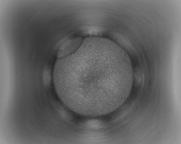 X0000113530593200909250907