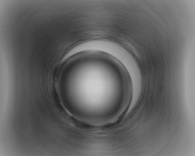 X0000113530597200909250907