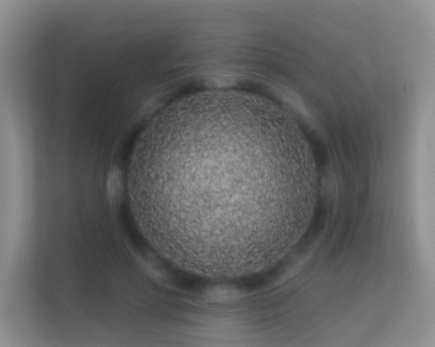 X0000113530598200909250907