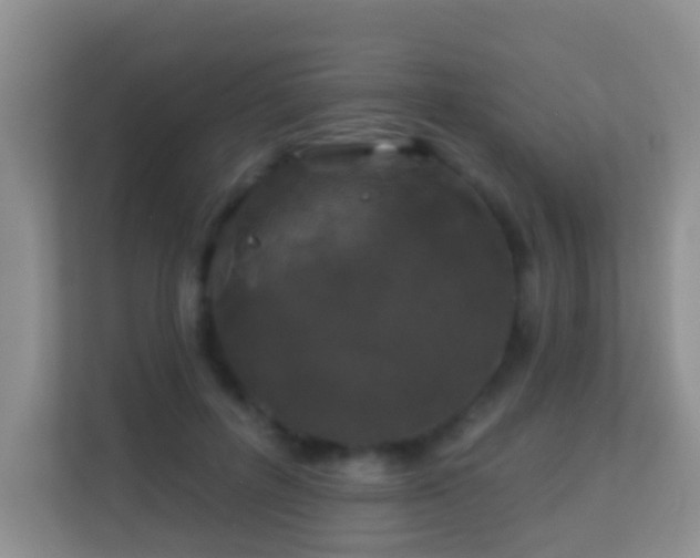 X0000113530600200909250907