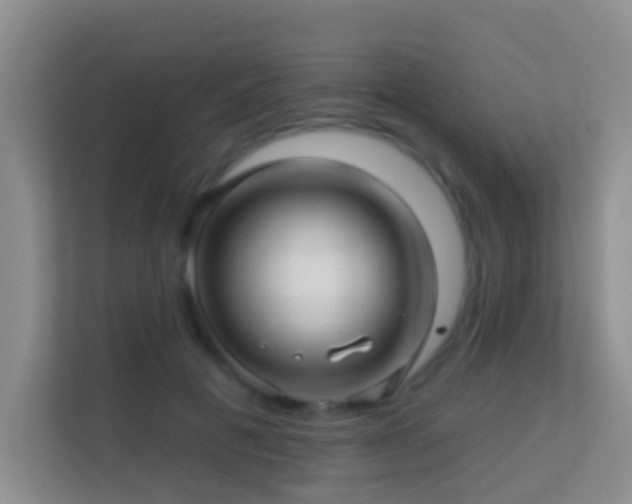 X0000113530601200909250907