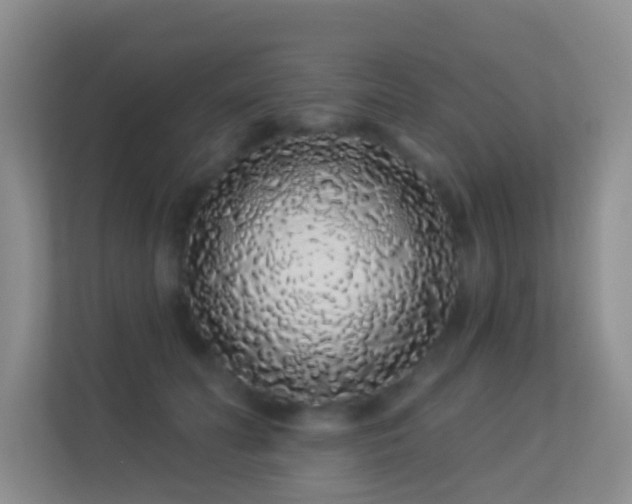 X0000113530606200909250907