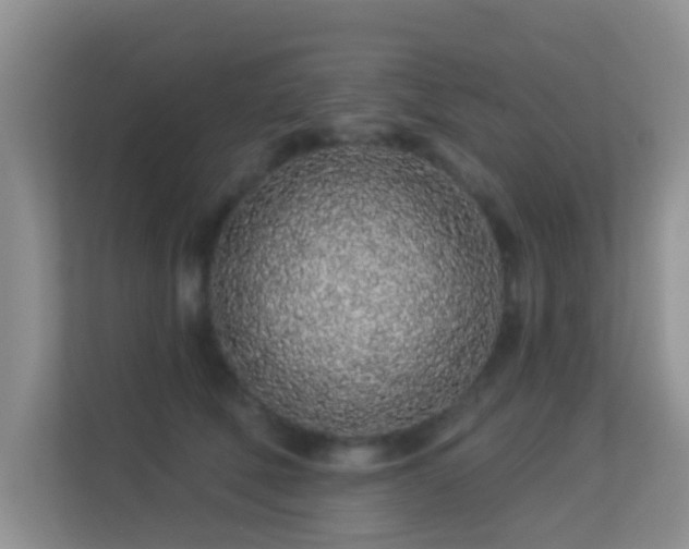 X0000113530610200909250907