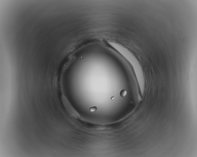 X0000113530611200909250907