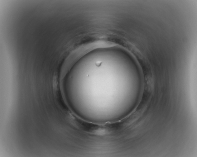 X0000113530612200909250907