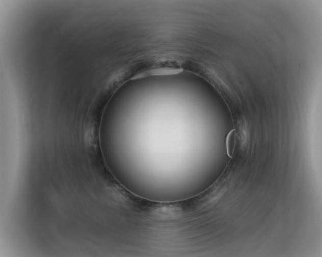 X0000113530619200909250907