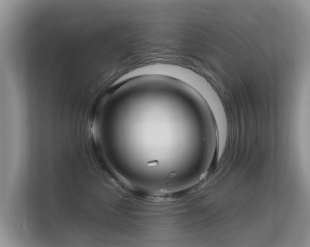 X0000113530621200909250907