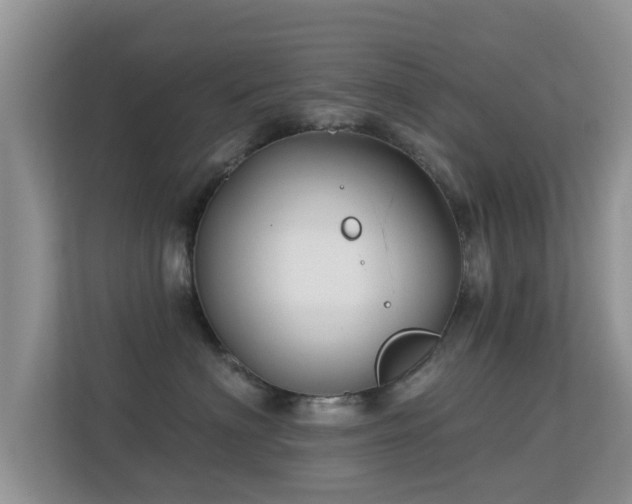 X0000113530622200909250907