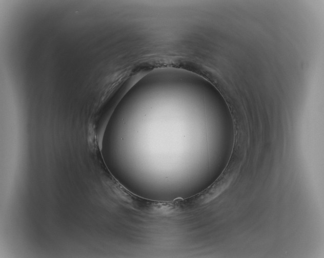 X0000113530624200909250907