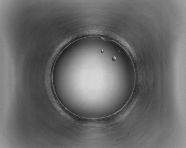 X0000113530625200909250906