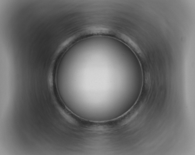 X0000113530629200909250906