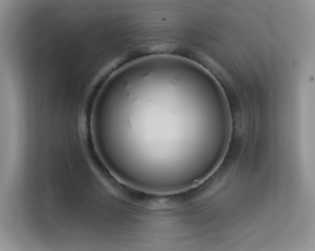 X0000113530634200909250906