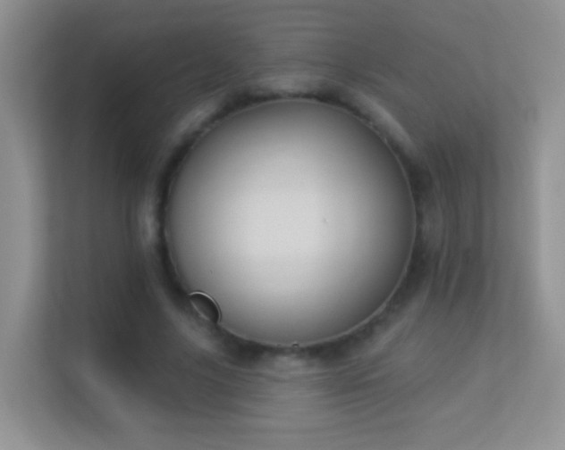 X0000113530635200909250906