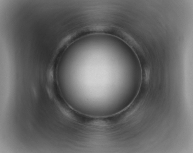 X0000113530636200909250906