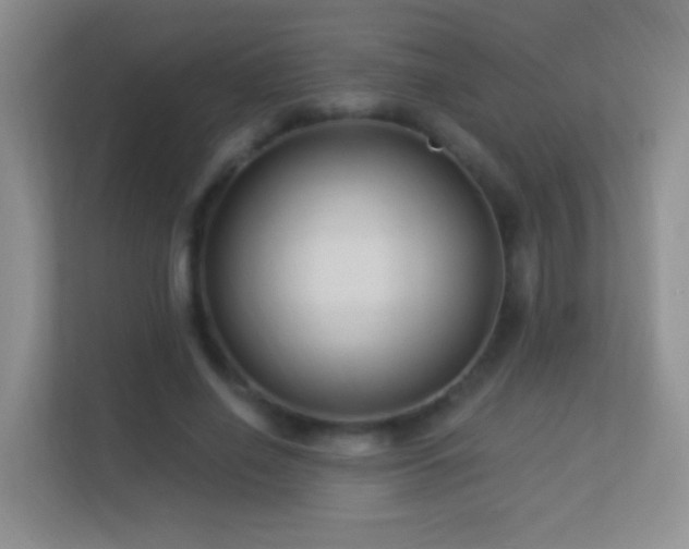 X0000113530638200909250906