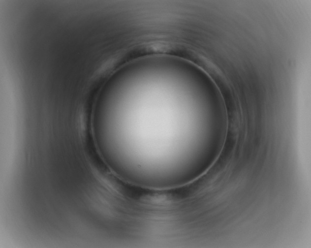 X0000113530639200909250906