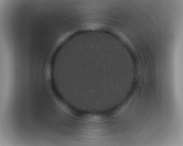 X0000113530640200909250906