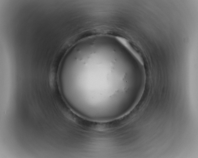 X0000113530641200909250906