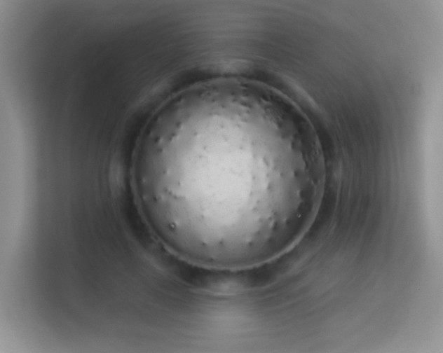 X0000113530643200909250907