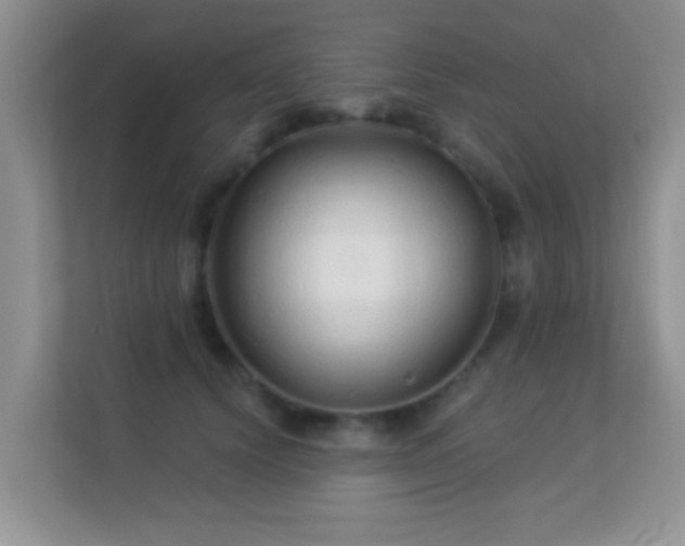 X0000113530656200909250907