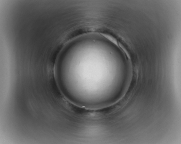 X0000113530657200909250907