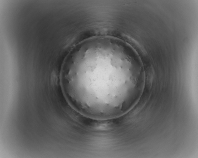 X0000113530661200909250907