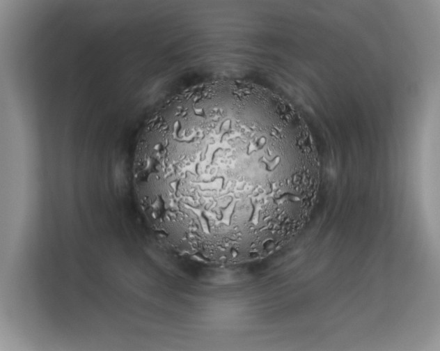 X0000113530663200909250907