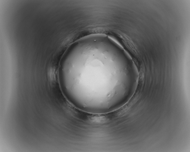 X0000113530669200909250907