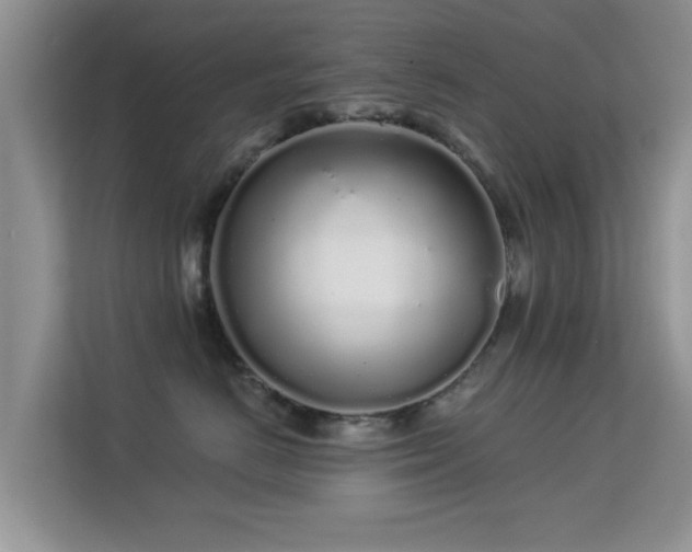 X0000113530670200909250907