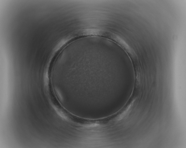 X0000113530674200909250906