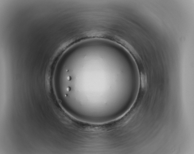 X0000113530675200909250906