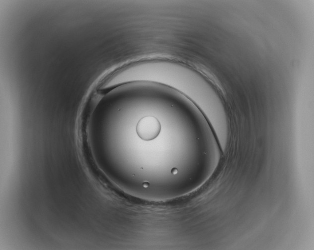 X0000113530676200909250906